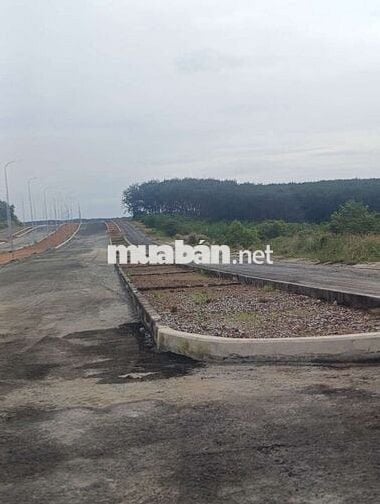 Bán Đất Xuyên Tâm.chính chủ . Chủ Đang Ngộp