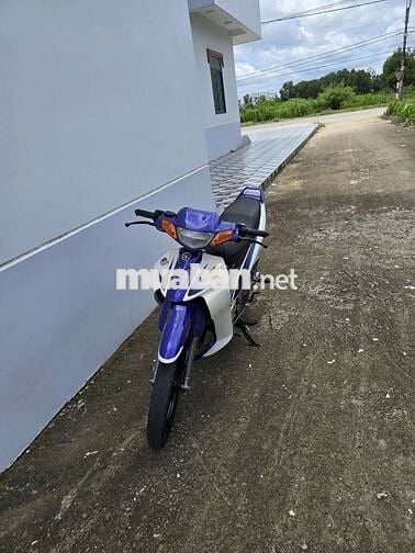 Yaz zin nguyên bản