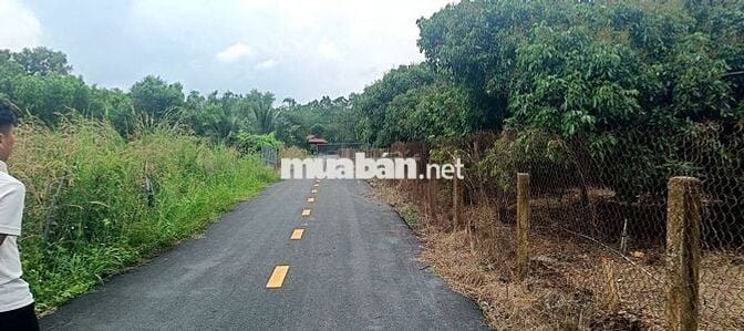 Bán Đất đẹp xã Hồ Tràm (Phước Tân cũ) – Xuyên Mộc Chỉ 850tr