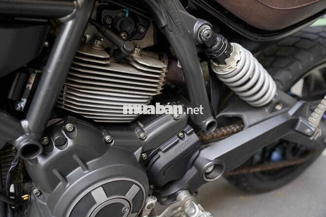 Ducati Scrambler 800 Đã Desmo