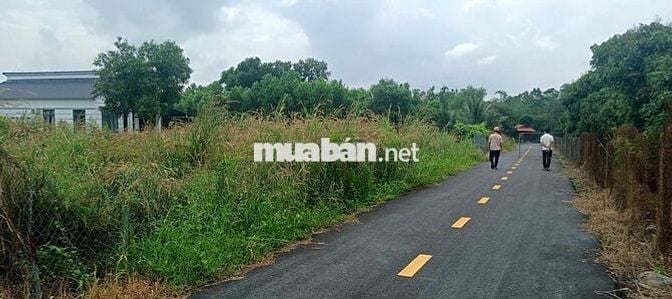 Bán Đất đẹp xã Hồ Tràm (Phước Tân cũ) – Xuyên Mộc Chỉ 850tr