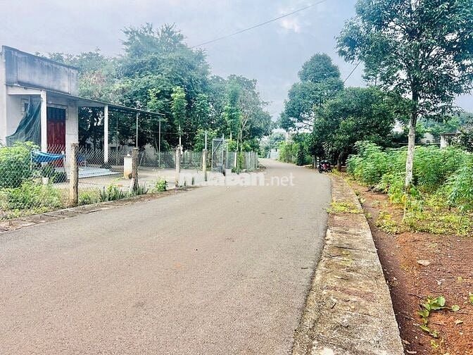 BÁN NHANH 1000M2 ĐẤT HOÀ BÌNH – XUYÊN MỘC – BRVT GIÁ CHỈ 1.5 TỶ