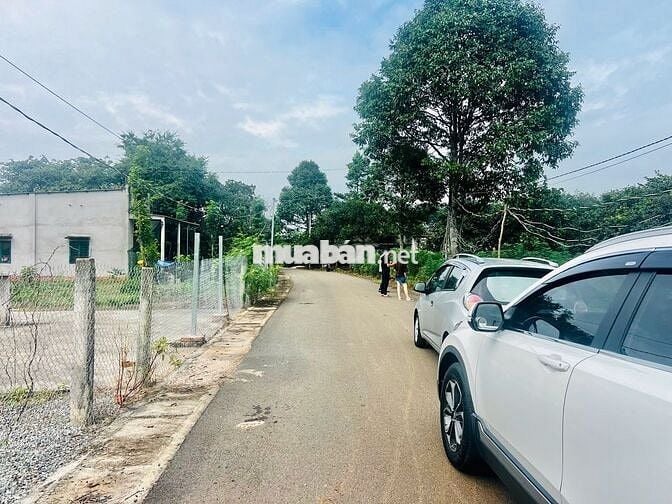 BÁN NHANH 1000M2 ĐẤT HOÀ BÌNH – XUYÊN MỘC – BRVT GIÁ CHỈ 1.5 TỶ