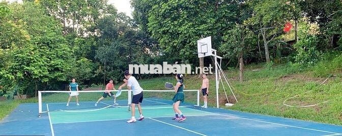 BTNV - 600m2 - 6pkk - Thạch Thất