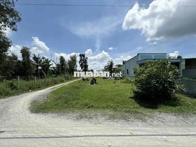 Ngân hàng Thanh Lý đất tại Tân Phú, Đức Hòa, Long An. DT: 642m2