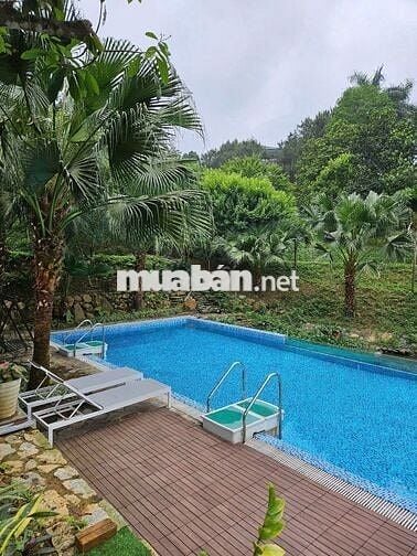 BTNV - 600m2 - 6pkk - Thạch Thất