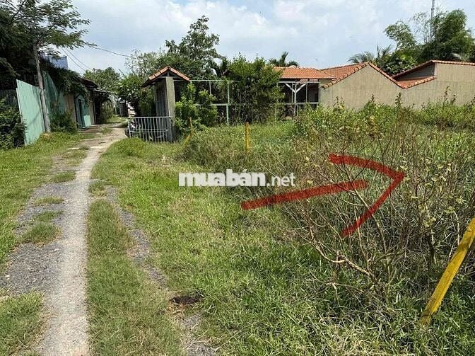 Đất nền full thổ cư đức hoà long an.