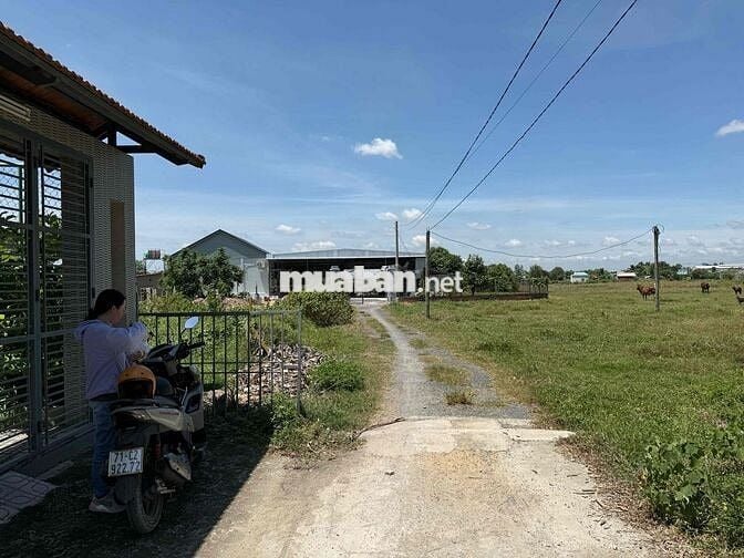 Đất nền full thổ cư đức hoà long an.