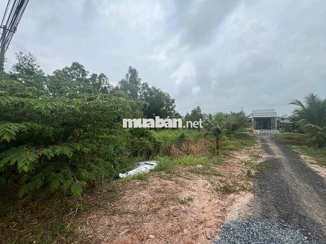 Ngân hàng thanh lý giá cực tốt, Tài sản MT QL 62 Kiến tường, Long An