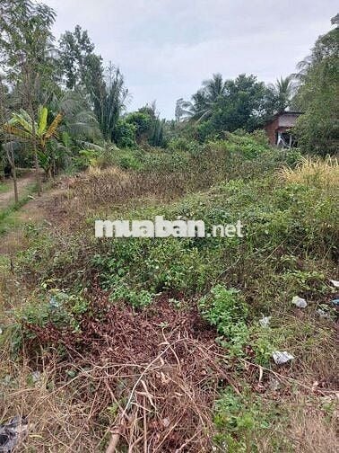 🌟 Đất hơn 1 công giáp DT903, gần TT Cái Nhum