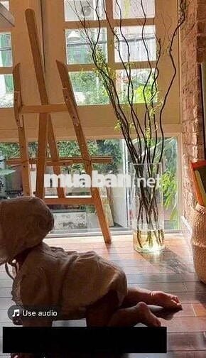 Cho Thuê Nhà Lê Văn Sỹ Q3 Ngang 6m Phù Hợp Ở & Kinh Doanh