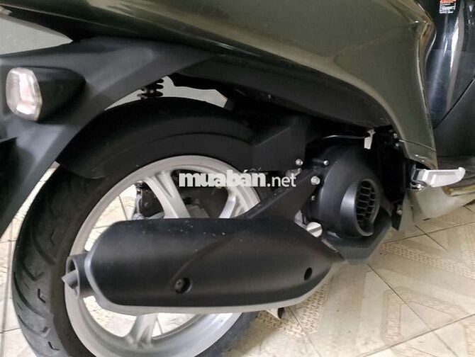 Cần bán janus siêu đẹp