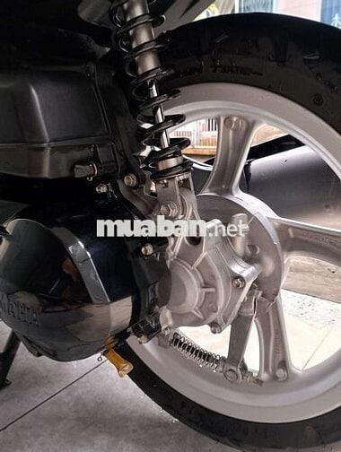 Cần bán janus siêu đẹp