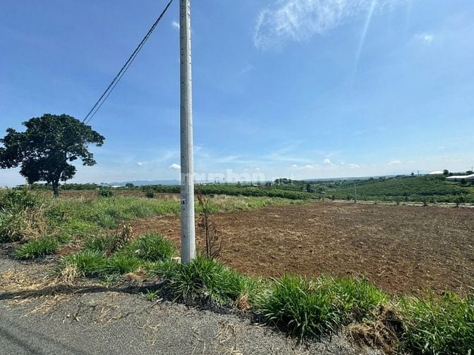 Công ty Đấu giá hợp danh Lam Sơn Sài Gòn THÔNG BÁO ĐẤU GIÁ TÀI SẢN