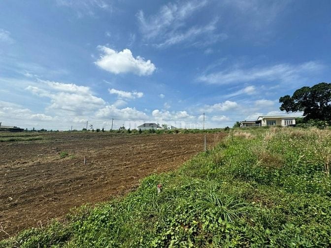 Công ty Đấu giá hợp danh Lam Sơn Sài Gòn THÔNG BÁO ĐẤU GIÁ TÀI SẢN