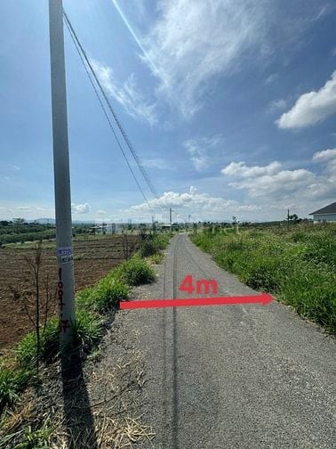 Công ty Đấu giá hợp danh Lam Sơn Sài Gòn THÔNG BÁO ĐẤU GIÁ TÀI SẢN