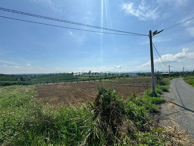 Công ty Đấu giá hợp danh Lam Sơn Sài Gòn THÔNG BÁO ĐẤU GIÁ TÀI SẢN