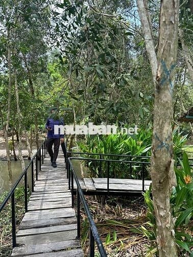 KHU DU LỊCH SINH THÁI LUNG TRÀM- CẦN THƠ-17.750M2- GIÁ CHỈ 42 TỶ