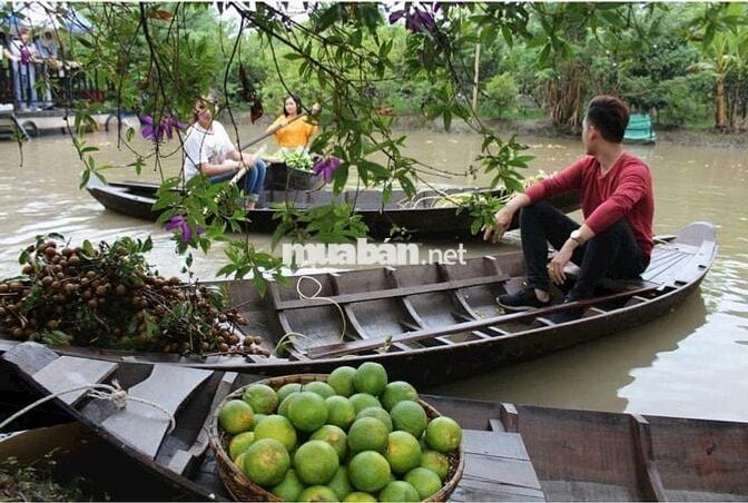 KHU DU LỊCH SINH THÁI LUNG TRÀM- CẦN THƠ-17.750M2- GIÁ CHỈ 42 TỶ