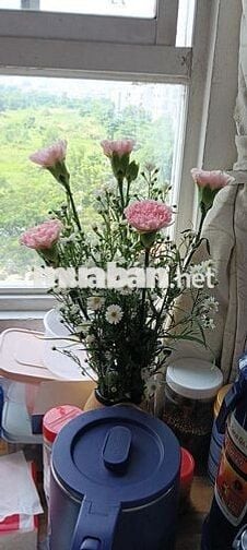 Nhà bán gấp, sổ hồng riêng công chứng trong ngày