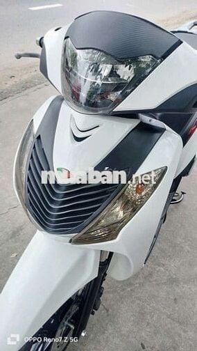 Sh úp áo ý siêu đẹp máy zin bao cọp keng .có góp