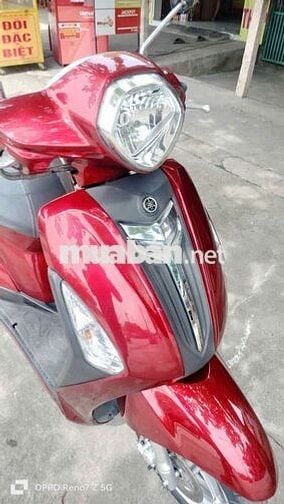 Siêu phẩm grande zin mới bảo cọp bs60 .có góp