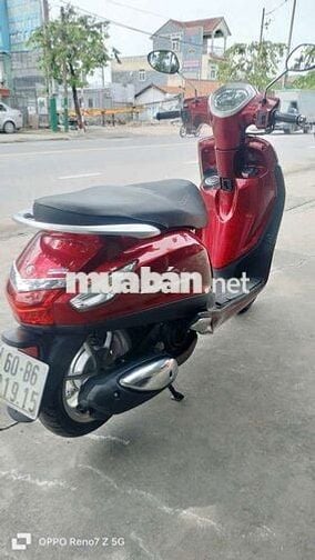 Siêu phẩm grande zin mới bảo cọp bs60 .có góp