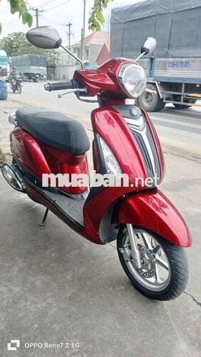 Siêu phẩm grande zin mới bảo cọp bs60 .có góp