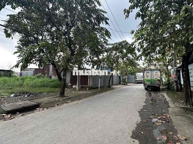 MTĐ ĐÔNG THẠNH 5, sát TRỊNH THỊ DỐI, HÓC MÔN - DT KHỦNG 240M2 (17,5x13