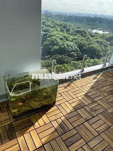 13.5Tr? Emerald 2PN VIEW CV (Full NT). Giá thật! Sát Aeon