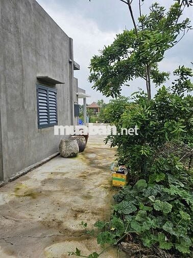 Thanh lý đất thổ cư 842m2 có sẵn nhà cấp 4 120m2