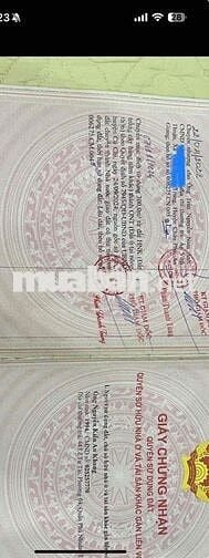 Chính chủ, pháp lý sạch, mặt tiền 24m, DT 1623m2 thổ cư 300m2 hh 2%