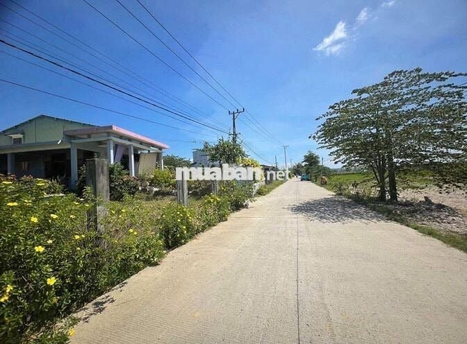 Bán Nhanh Lô Đất Nhà Vườn 370m² Điện Hồng – Giá Tốt 750 Triệu