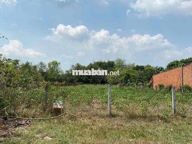 Chính chủ, pháp lý sạch, mặt tiền 24m, DT 1623m2 thổ cư 300m2 hh 2%