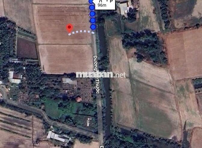 Đất Nông Nghiệp - 4907m2 - Mặt tiền đường Ba Thước - Tân Nhựt