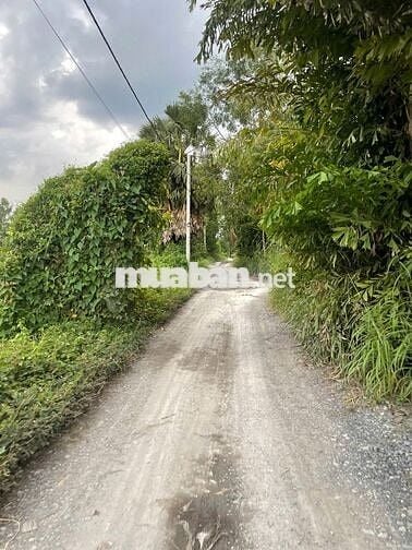 Đất Nông Nghiệp - 4907m2 - Mặt tiền đường Ba Thước - Tân Nhựt