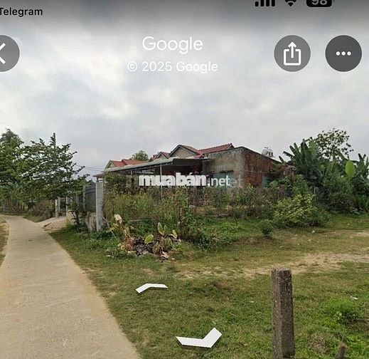 Bán Nhanh Lô Đất Nhà Vườn 370m² Điện Hồng – Giá Tốt 750 Triệu