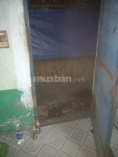 Cần tìm người ở ghép chung cho vui.