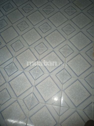 Cần tìm người ở ghép chung cho vui.