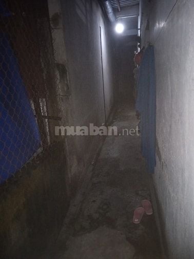 Cần tìm người ở ghép chung cho vui.