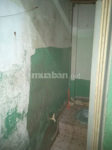 Cần tìm người ở ghép chung cho vui.