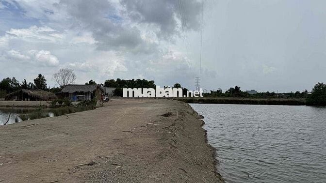 cẩn Bán 2 lô đất View sông Cần Giờ 5.000m2 và 3.300m2 giá 2tr/m2