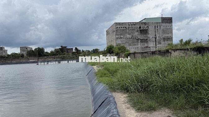 cẩn Bán 2 lô đất View sông Cần Giờ 5.000m2 và 3.300m2 giá 2tr/m2