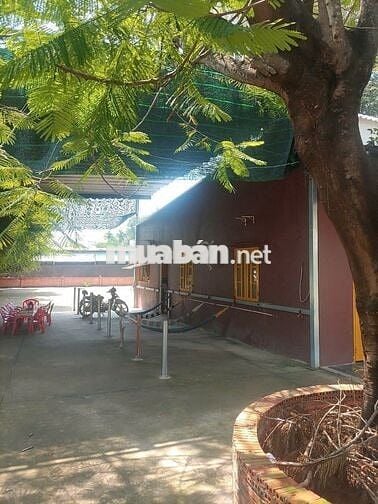 Bán lô đất + nhà 2 mặt tiền đường Cây Gõ – An Phú đang kd quán nước