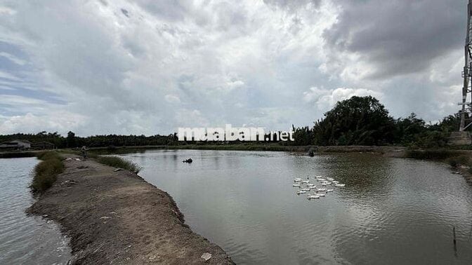 cẩn Bán 2 lô đất View sông Cần Giờ 5.000m2 và 3.300m2 giá 2tr/m2