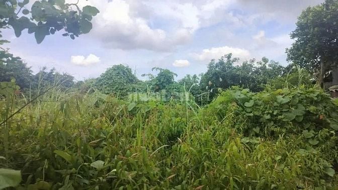 Công ty Đấu giá hợp danh Lam Sơn Sài Gòn THÔNG BÁO ĐẤU GIÁ TÀI SẢN