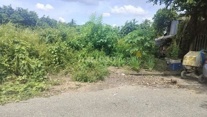 Công ty Đấu giá hợp danh Lam Sơn Sài Gòn THÔNG BÁO ĐẤU GIÁ TÀI SẢN