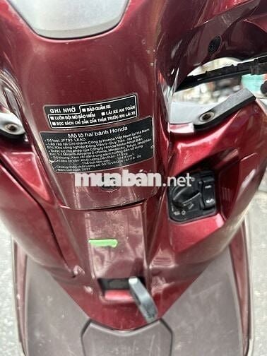 lead nữ đi 2021 đỏ mận