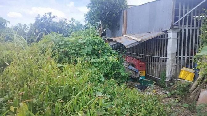 Công ty Đấu giá hợp danh Lam Sơn Sài Gòn THÔNG BÁO ĐẤU GIÁ TÀI SẢN