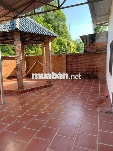 Bán căn nhà mặt tiền Tỉnh Lộ 7- xã An Nhơn Tây